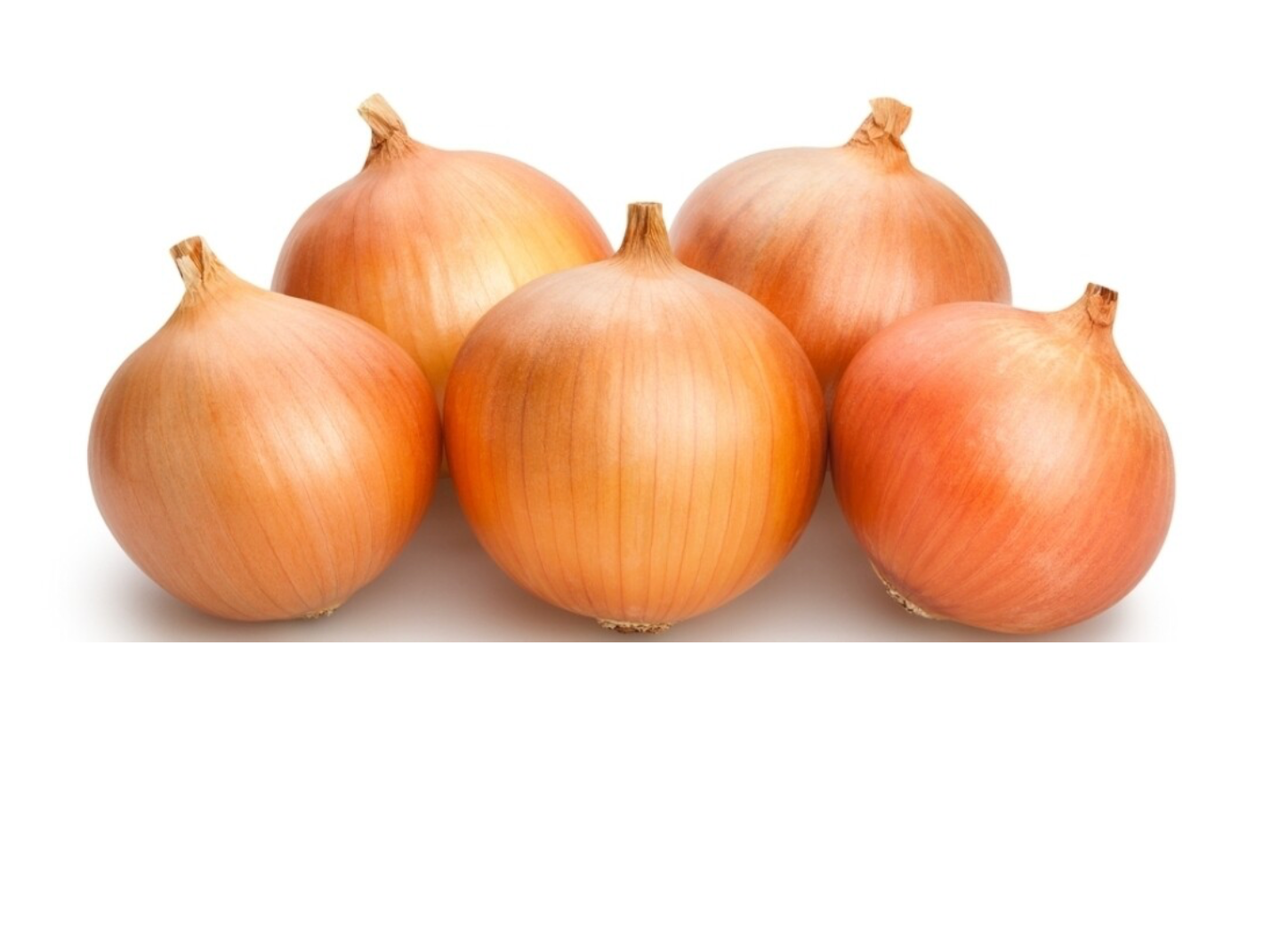 Uien Spanje per zak 25 kg