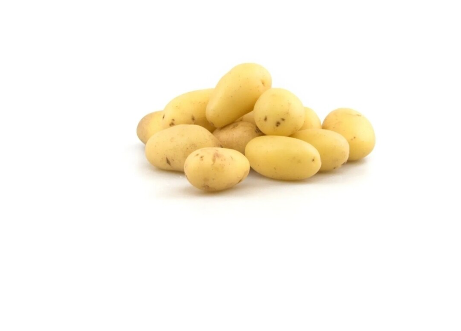 Aardappel charlotte kriel per 13 kg