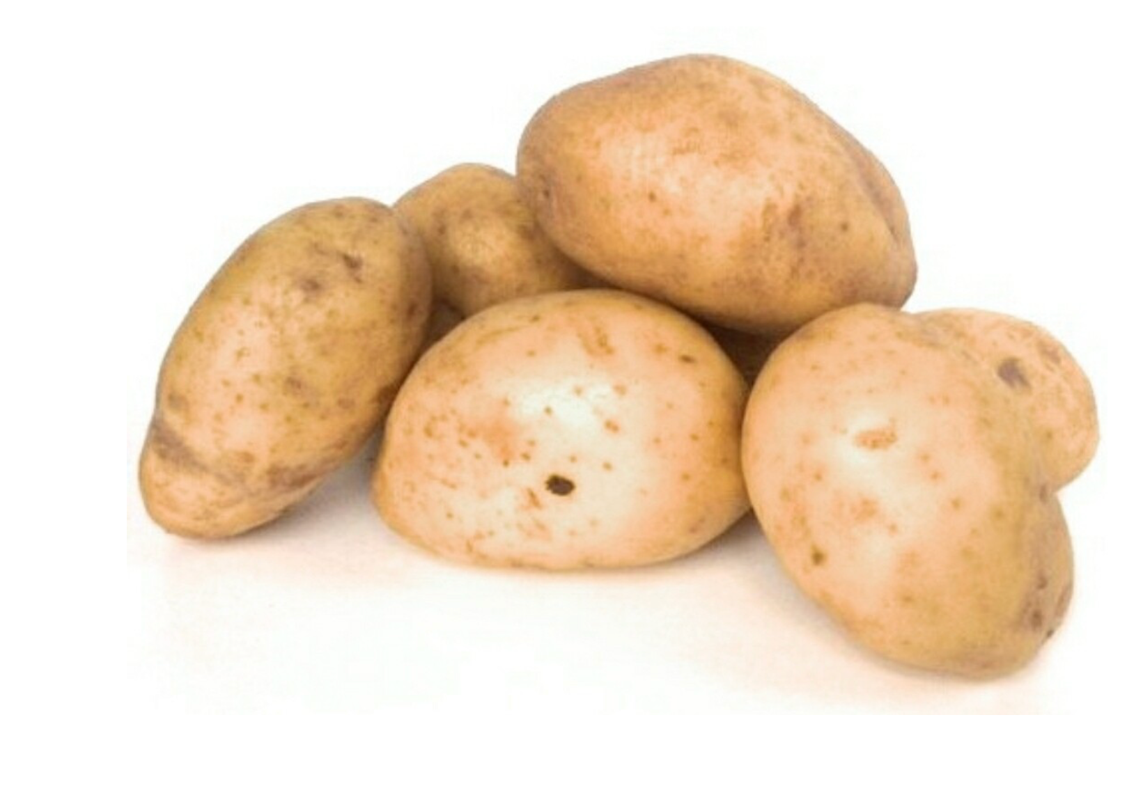 Aardappel Agria per 25 kg