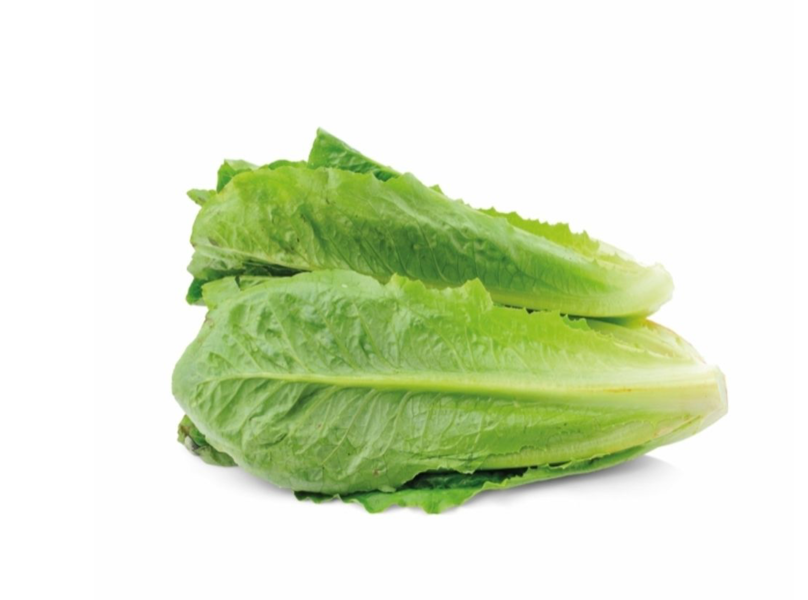 Romeinse sla/ romanosla NL verpakt per kist 8/10 stuk