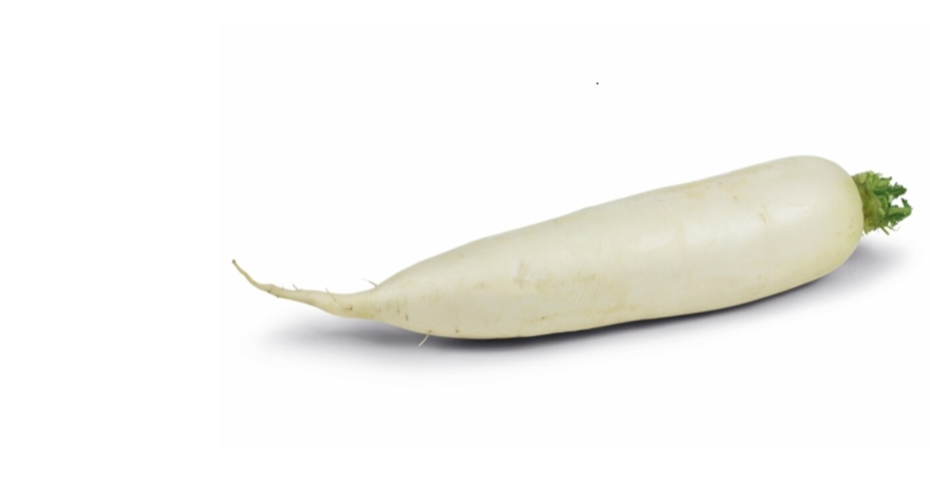 Rettich per 4 stuk