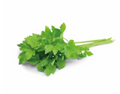 Koriander per bos