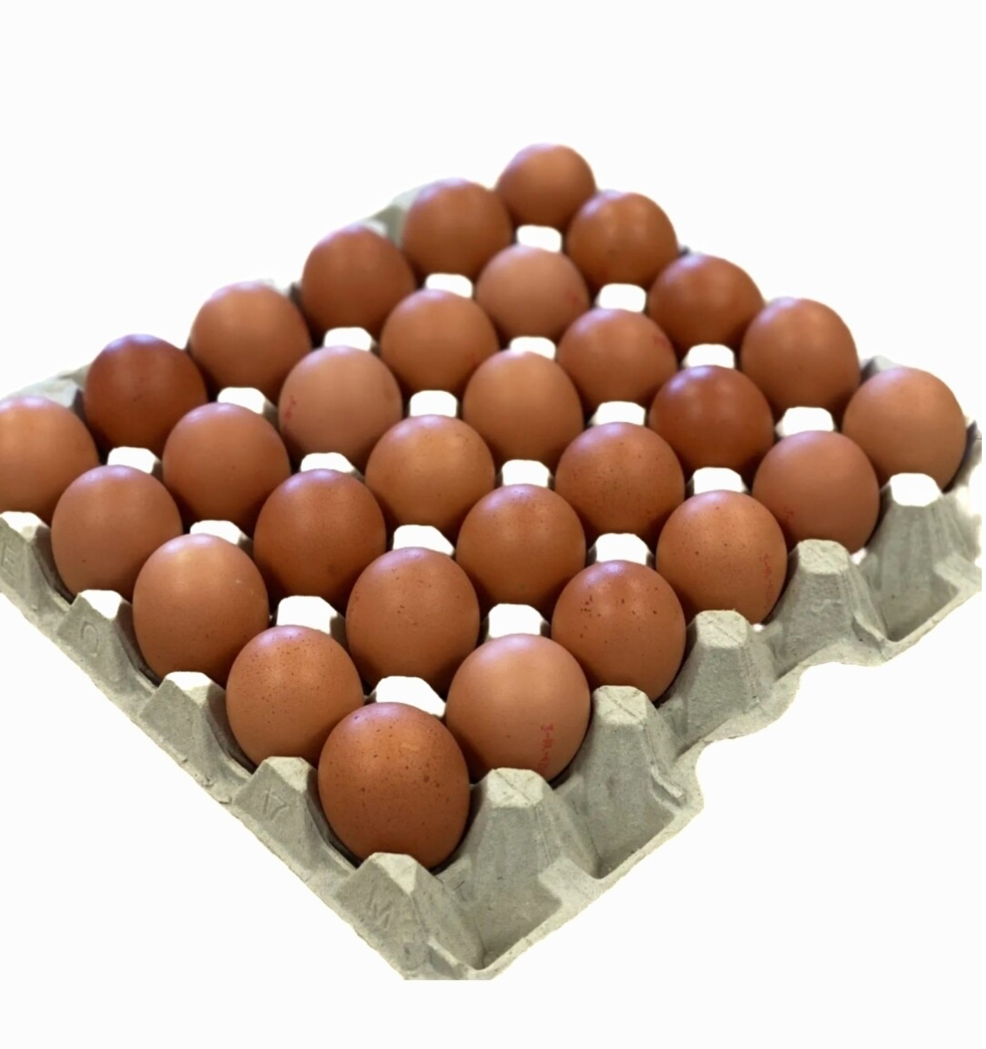 Eieren maat M verpakt per 90 stuks
